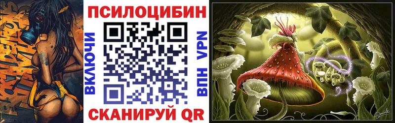 цены   Алексеевка  ссылка на мегу   Псилоцибиновые грибы мицелий 
