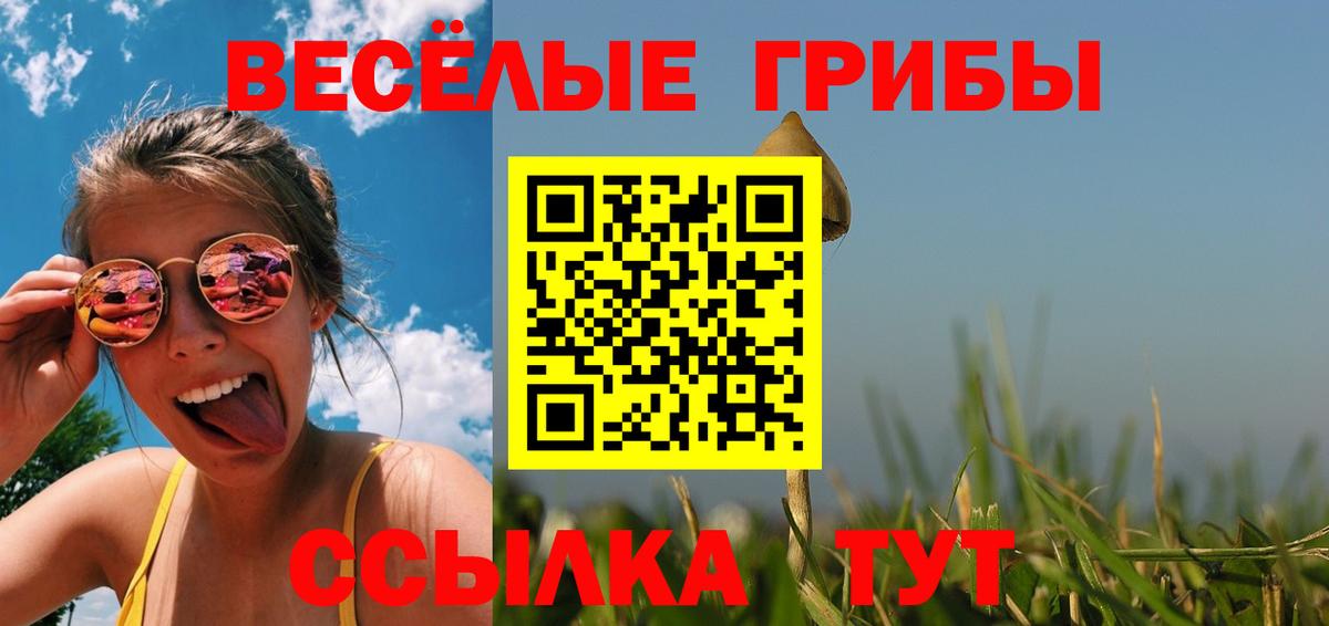 Псилоцибиновые грибы Psilocybine cubensis  Псилоцибиновые грибы ЛСД  закладка  Алексеевка  Вход с VPN 